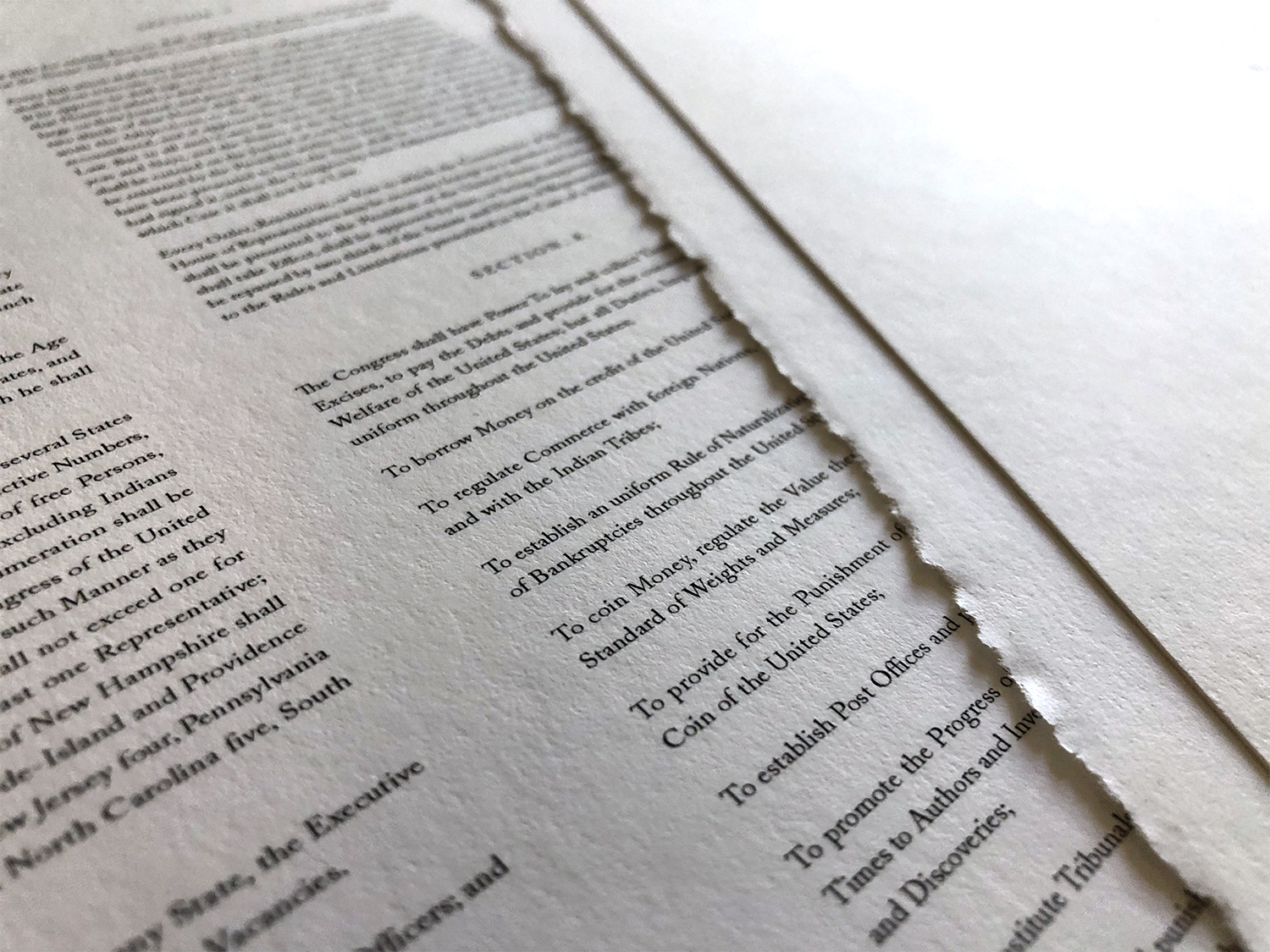 Detail of Rothridge Constitution Print