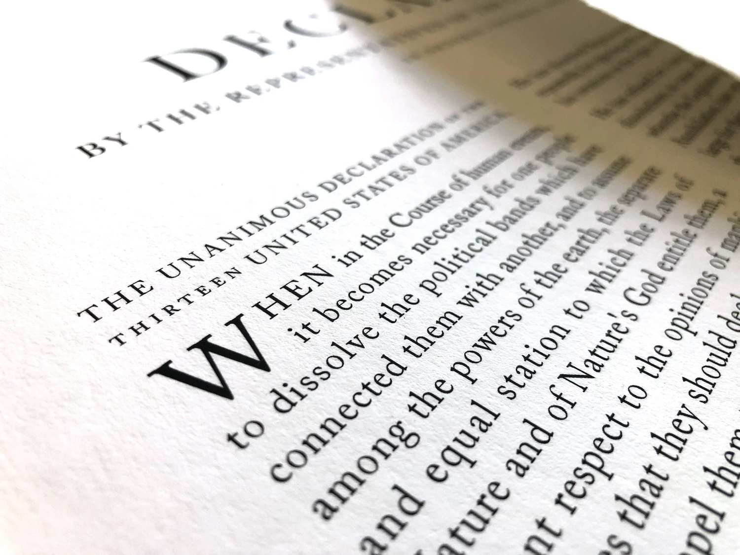 Detail of Rothridge Declaration Print