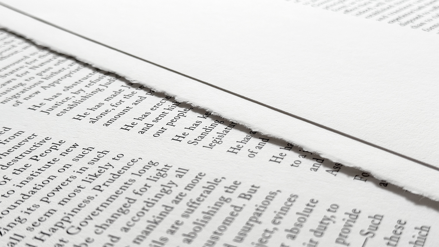 Detail of Rothridge Declaration Print